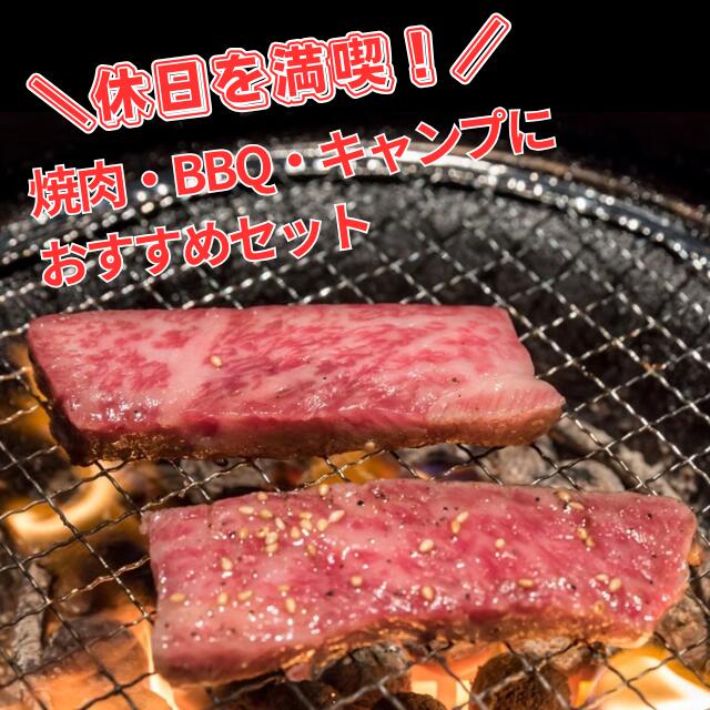 メガ盛り 満足BBQセット 約1kg（2～3人前） ▼精肉 楽天 1位 2～3人前 牛カルビ・訳あり・中落ちカルビ・ミックスホルモン・鶏肉山賊焼・やまゆりポークウィンナー4種 メガ盛り 送料無料 BBQ食材 セット 肉 セット ギフト お中元 父の日 toretate-gift-10000300 海産物と牛肉専門・とれたてねっと サンプル画像2