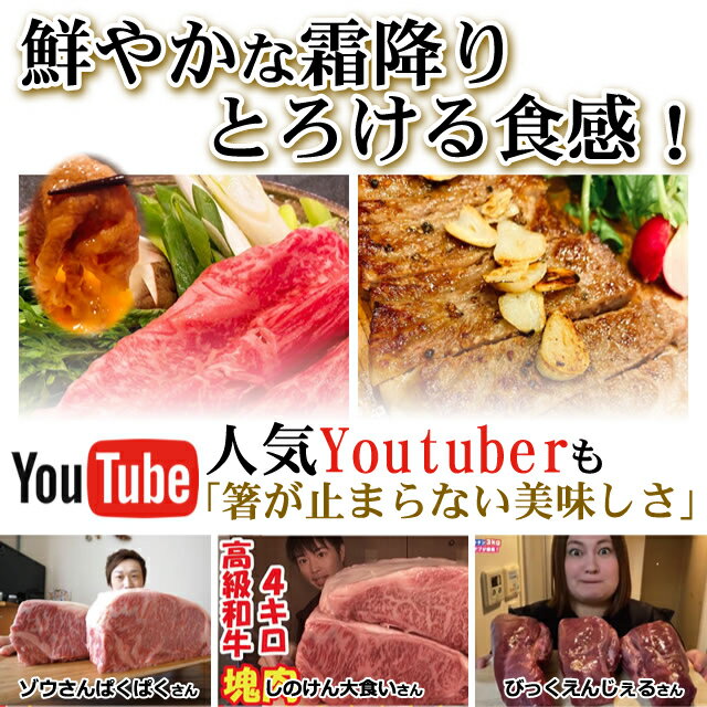 サンプル画像3