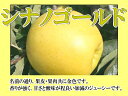 須坂市　山吉果樹園　信州りんご「シナノゴールド」5kg