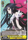 追い求める果て 黒雪姫 AW/S18-005 R 【中古】