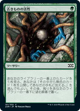 マジックザギャザリング MTG 緑 古きものの活性 2XM-151 コモン 【中古】