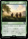 マジックザギャザリング MTG 緑 茸畑