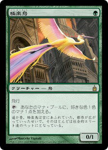 楽天市場】極楽鳥mtgの通販