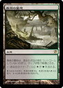 マジックザギャザリング MTG 無色 森林の墓地 ISD-249 レア 【中古】