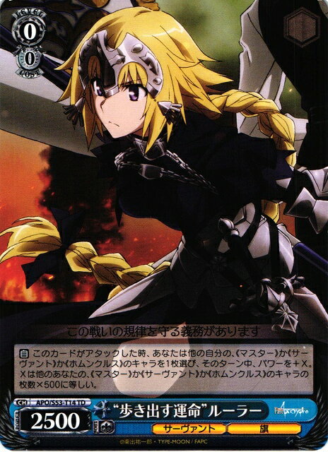 “歩き出す運命”ルーラー APO/S53-T14 TD 【中古】