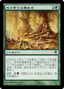 マジックザギャザリング MTG 緑 刈り取りと種まき DST-81 コモン 【中古】