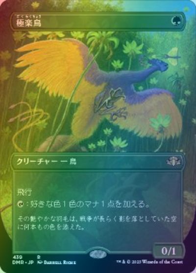 楽天市場】極楽鳥mtgの通販