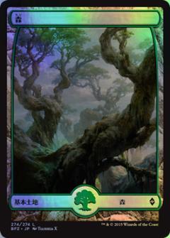 楽天市場】mtg 森 戦乱のゼンディカーの通販