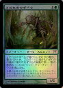 }WbNUMUO MTG  悾ׂ̂ CHK-206 R Foil yÁz