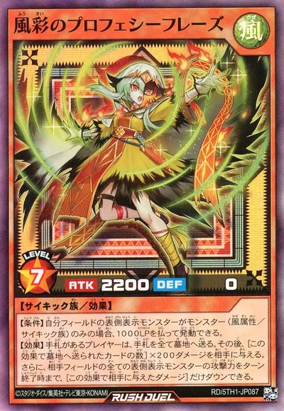 ͷ������å���ǥ奨�� ���̤Υץ��ե������ե졼�� 5TH1-JP087 �����ѡ� ����š�