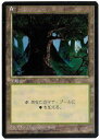 マジックザギャザリング MTG 無色 森 (黒枠) 4ED-377 基本土地 【中古】