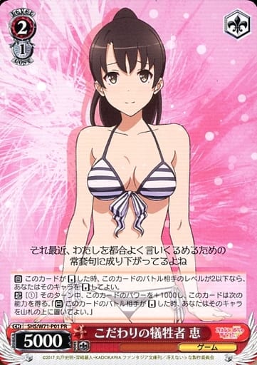 ȥ쥫 ȥȥŷԾŹ㤨֤ε  SHS/W71-P01 PR šۡפβǤʤ40ߤˤʤޤ