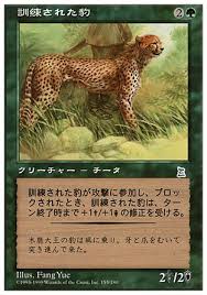 マジックザギャザリング MTG 緑 訓練された豹 PTK-154(155) アンコモン 【中古】