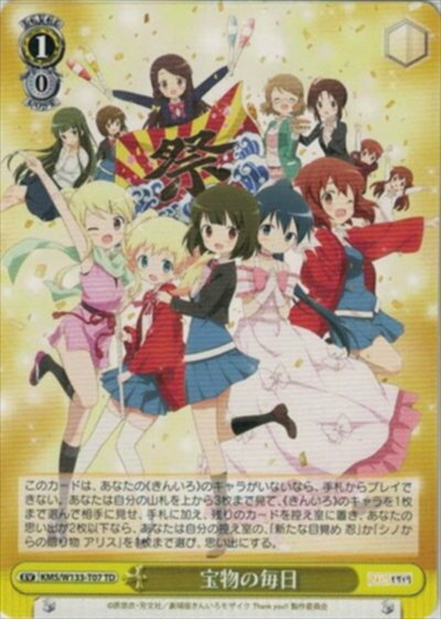 宝物の毎日 KMS/W133-T07 TD 【中古】