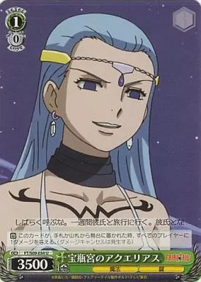 宝瓶宮のアクエリアス FT/S09-034 U 【中古】