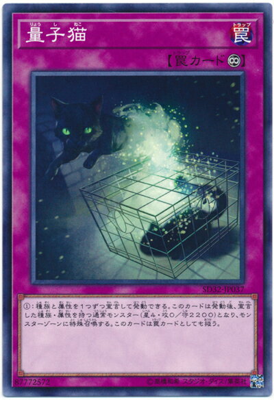 遊戯王 量子猫 SD32-JP037 ノーマル 【