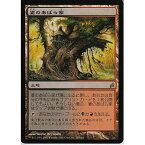 マジックザギャザリング MTG 無色 婆のあばら家 LRW-267 レア 【中古】