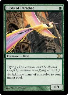 マジックザギャザリング MTG 緑 極楽鳥 10ED-252 レア 【中古】