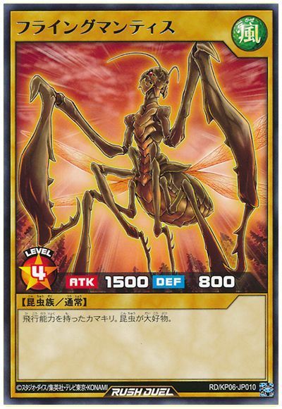 ͷåǥ奨 ե饤󥰥ޥƥ KP06-JP010 쥢 š