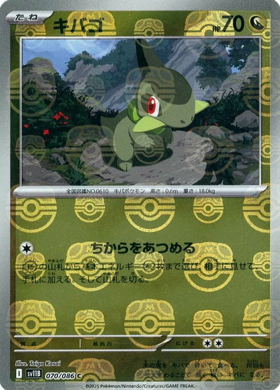 楽天市場】キバゴ xyの通販