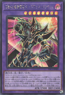 楽天市場】超魔導剣士 ブラック パラディンの通販