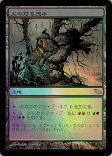 マジックザギャザリング MTG 無色 火の灯る茂み SHM-271 レア Foil 【中古】
