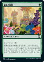 マジックザギャザリング MTG 緑 楽園の拡散 AFC-172 コモン 【中古】