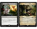 マジックザギャザリング MTG 黒 アルゲールの断血 XLN-90 レア 【中古】