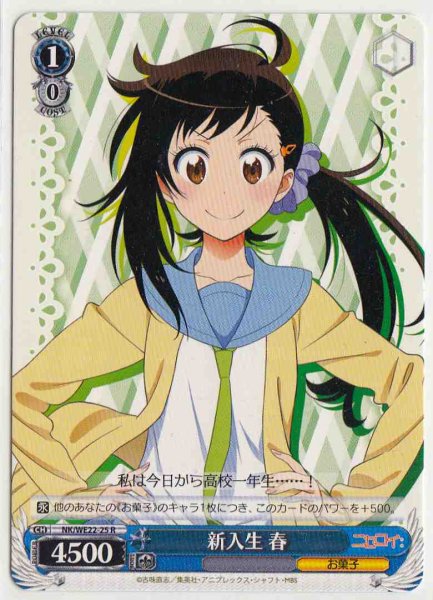 新入生 春 NK/WE22-25 R 【中古】