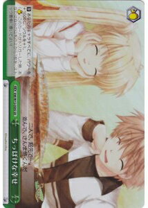 ちっぽけな幸せ RW/W15-050S SR 【中古】