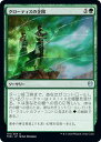 マジックザギャザリング MTG 緑 クロ