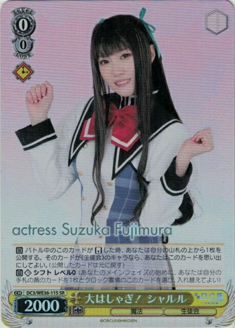 大はしゃぎ! シャルル DC3/WE36-11S SR 【中古】