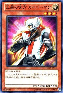 ͷ���� ������̣�� �����С��ޥ� SD25-JP013 �Ρ��ޥ� ����š�