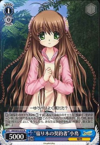 “宿り木の契約者”小鳥 RW/W15-076 R 【中古】
