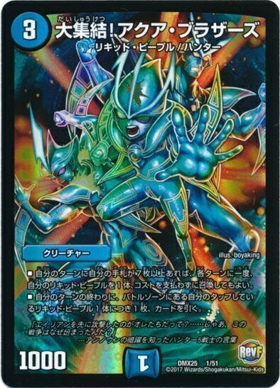【psa10】デュエルマスターズ アクア・レンジャー 初期【世界に1枚】 楽天市場】アクア・ブラザーズの通販