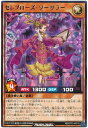 遊戯王ラッシュデュエル セレブロ