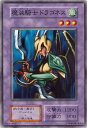 遊戯王 魔装騎士ドラゴネス 106-029 ノーマル 【中古】