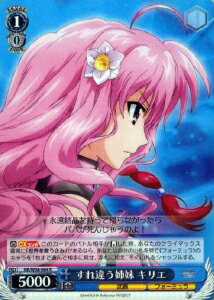 ����㤦���� ���ꥨ NR/W58-064 R ����š�