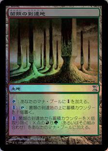 マジックザギャザリング MTG 無色 菌類の到達地 TSP-273 アンコモン Foil 【中古】