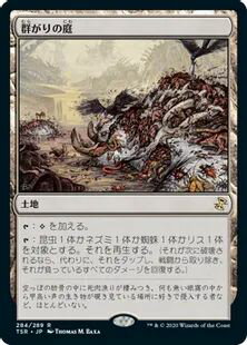 マジックザギャザリング MTG 茶 群がりの庭 TSR-284 レア 【中古】