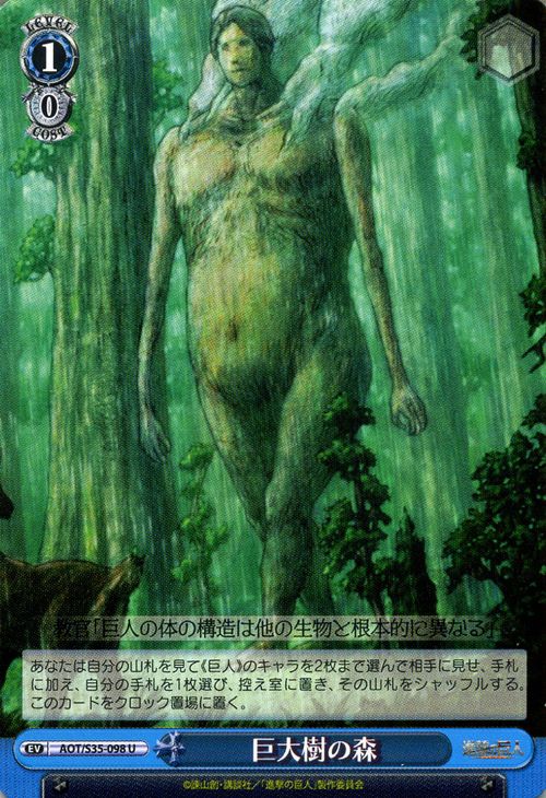 巨大樹の森 AOT/S35-098 U 【中古】