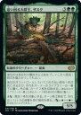 マジックザギャザリング MTG 緑 這い回る大群王、ザスク J22-47 レア 【中古】