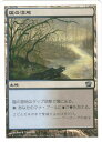 マジックザギャザリング MTG 無色 塩