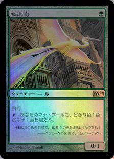 楽天市場】極楽鳥mtgの通販