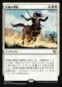 マジックザギャザリング MTG 命運の掌握 C15-3 レア 【中古】