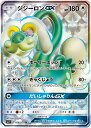 |PJ[h WW[GX SM1+ 058/051 SR yÁz