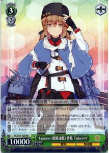 Ташкент級駆逐艦1番艦 Ташкент KC/S67-028 RR 【中古】