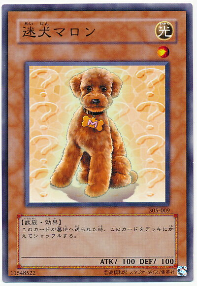 遊戯王 迷犬マロン 305-009 ノーマル