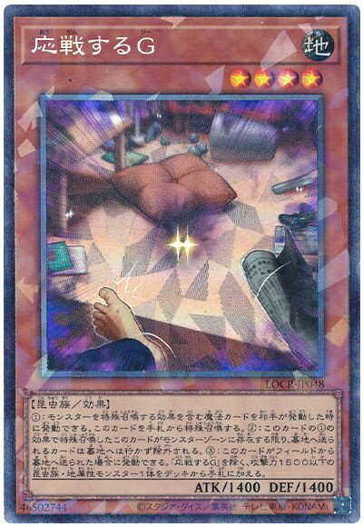386456jat_1.jpg