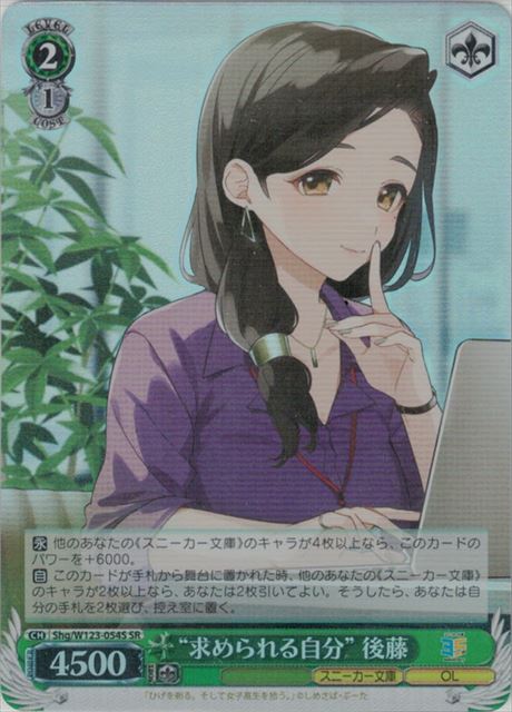 �ȵ����뼫ʬ�� ��ƣ SHG/W123-054S SR ����š�